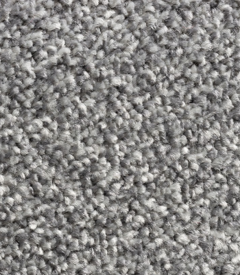 11mm Battleship Grey Twist Carpet – Soft, durable twist pile in a bold grey tone.