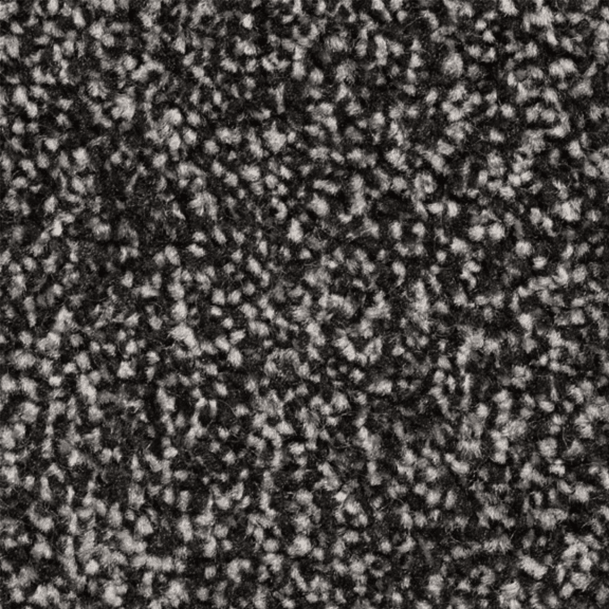 11mm_ebony_grey_twist_carpet 11mm Ebony Grey Twist Carpet – Soft, durable twist pile in a deep grey tone.