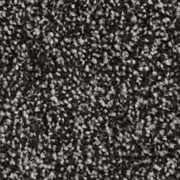 11mm Ebony Grey Twist Carpet – Soft, durable twist pile in a deep grey tone.