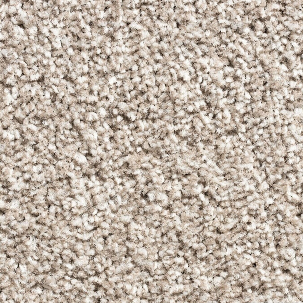 15mm_tan_twist_carpet 15mm Tan Twist Pile Carpet – Soft, durable twist pile in warm tan shade