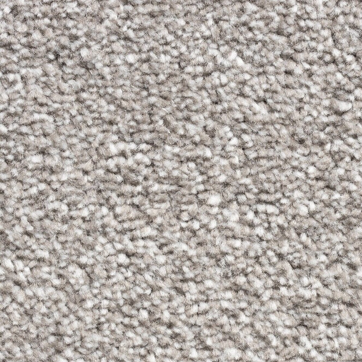 15mm_fossil_twist_carpet 15mm Fossil Twist Pile Carpet – Soft, durable twist pile with a modern grey tone.