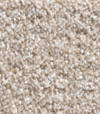 11mm Biscuit Twist Carpet – Detailed Close-Up of Textured, Durable Fibers in Warm Biscuit Tone