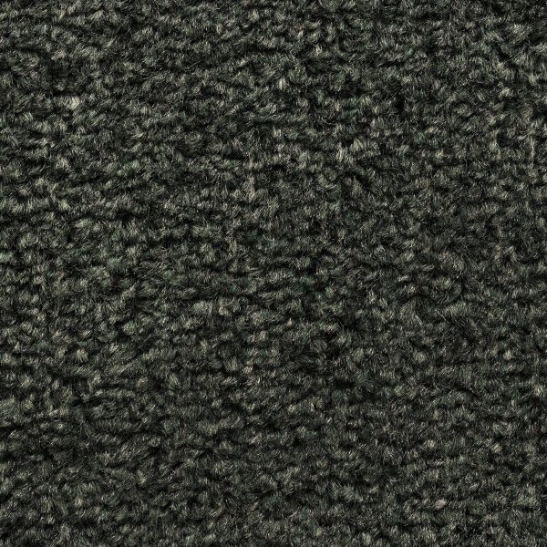 8mm Forest Twist Felt Backed Carpet SAMPLE