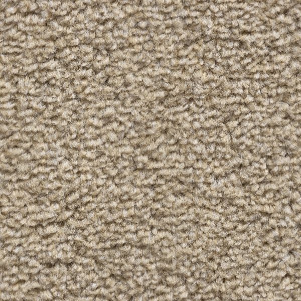 8mm Bluff Twist Felt Backed Carpet SAMPLE